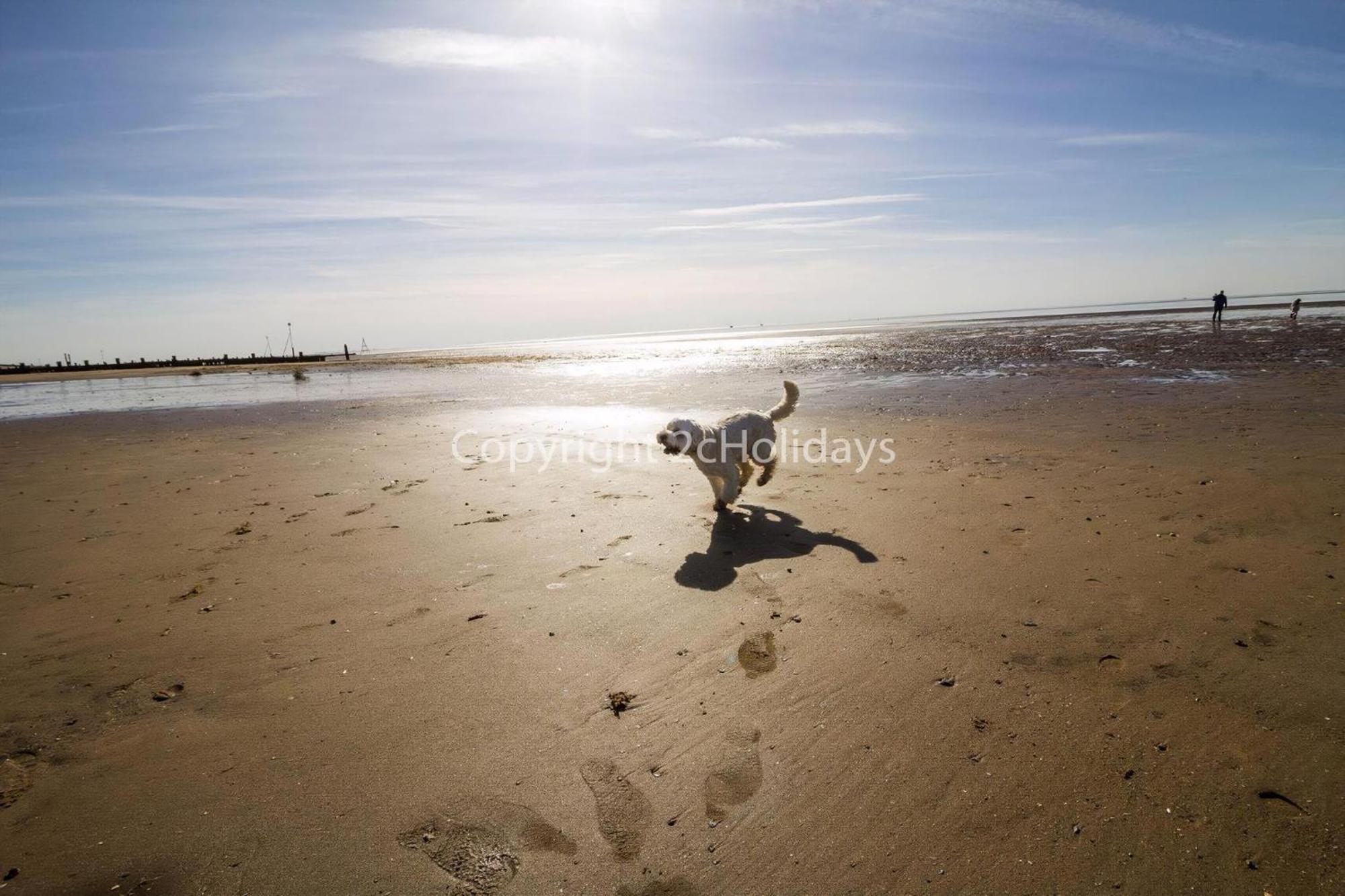 6 Berth Dog Friendly Caravan In Hunstanton, Minutes From The Beach Ref 13013L Exteriör bild